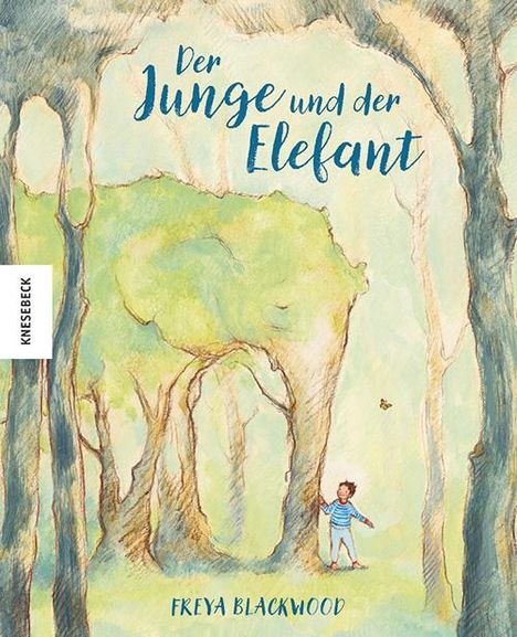 Freya Blackwood: Der Junge und der Elefant, Buch