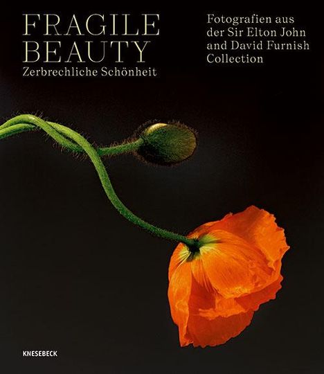 Fragile Beauty - zerbrechliche Schönheit, Buch