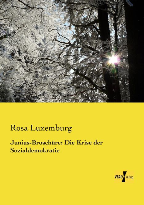 Rosa Luxemburg: Junius-Broschüre: Die Krise der Sozialdemokratie, Buch