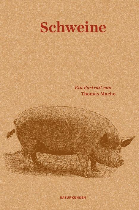 Thomas Macho: Schweine, Buch