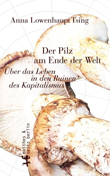 Anna Lowenhaupt Tsing: Der Pilz am Ende der Welt, Buch