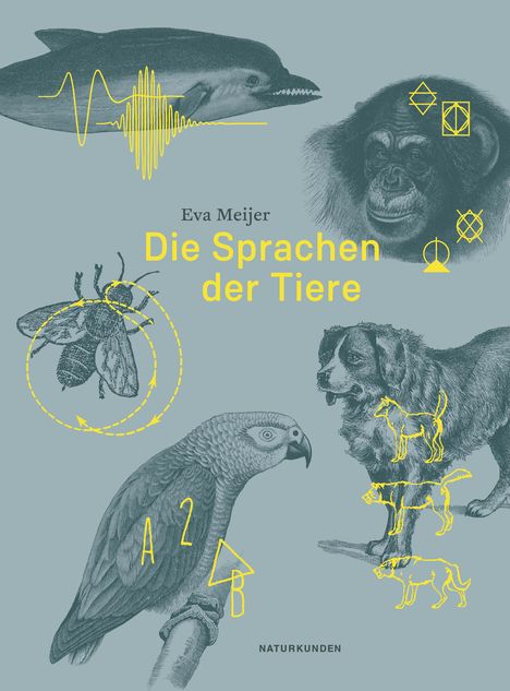 Eva Meijer: Die Sprachen der Tiere, Buch