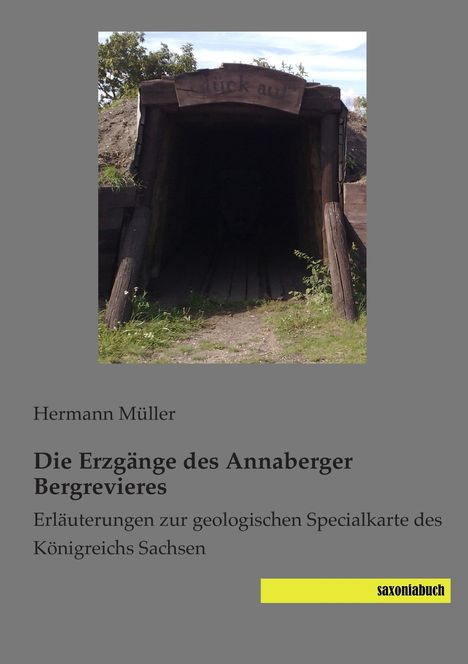 Hermann Müller: Die Erzgänge des Annaberger Bergrevieres, Buch