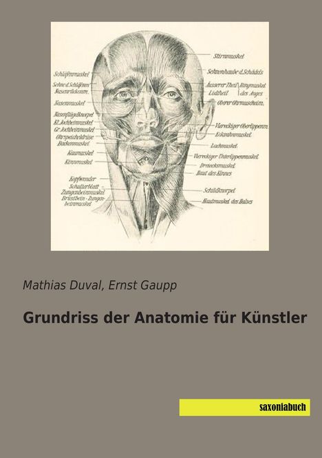 Mathias Duval: Grundriss der Anatomie für Künstler, Buch