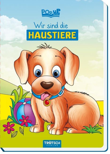 Cover/Produkt Ansicht vergrößern