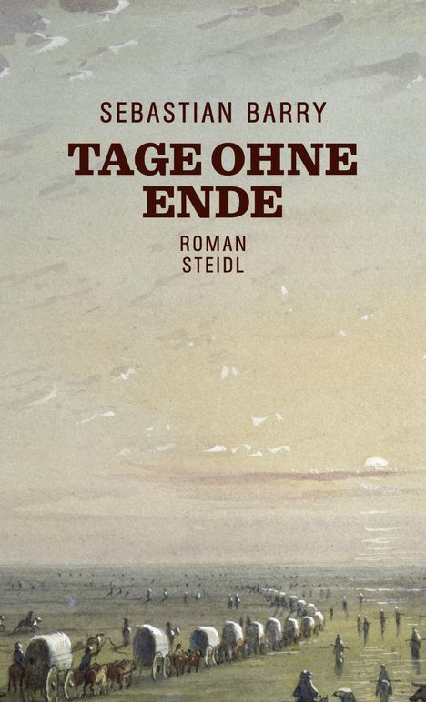 Sebastian Barry: Barry, S: Tage ohne Ende, Buch