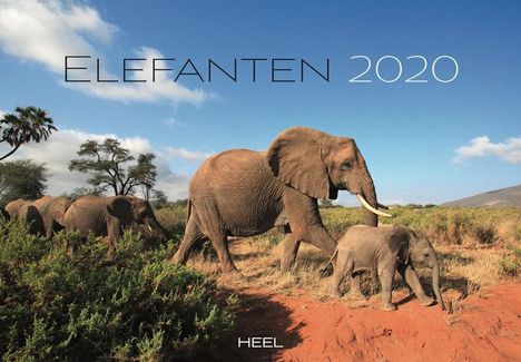 Elefanten 2020, Diverse