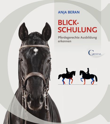 Anja Beran: Blickschulung, Buch