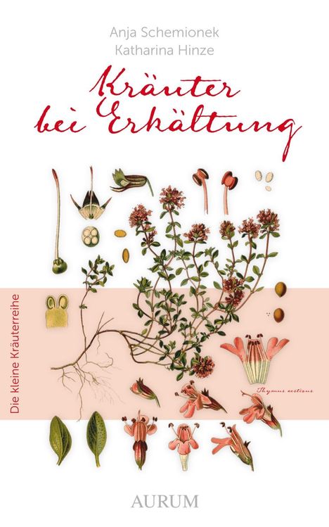 Anja Schemionek: Kräuter bei Erkältung, Buch