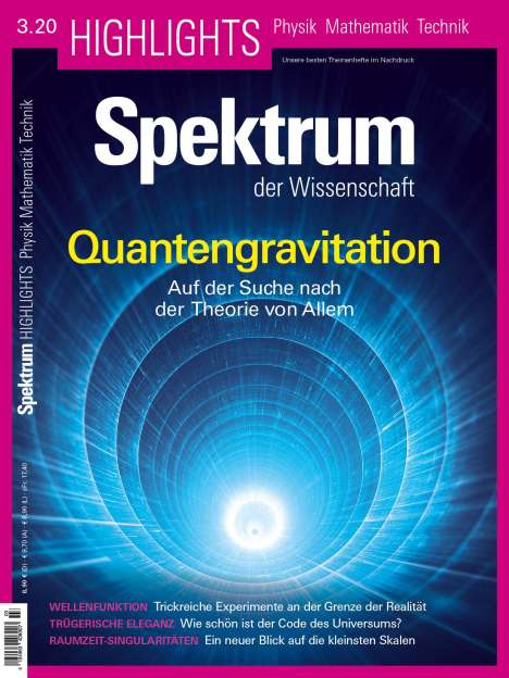 Quantengravitation, Buch