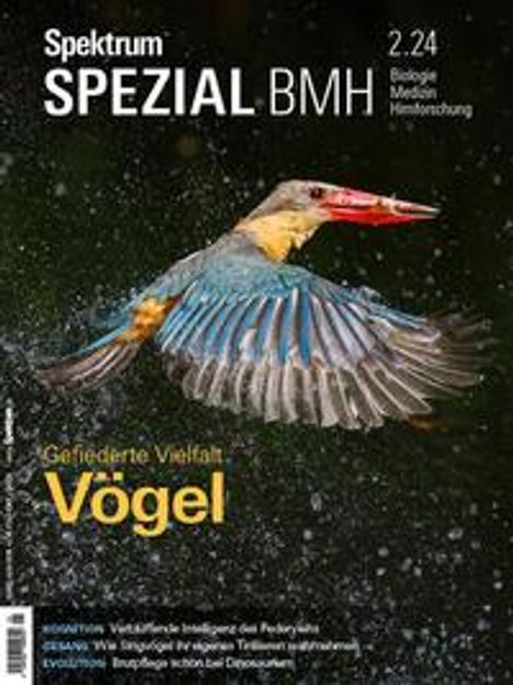 Spektrum Spezial BMH 2/2024 - Vögel, Buch