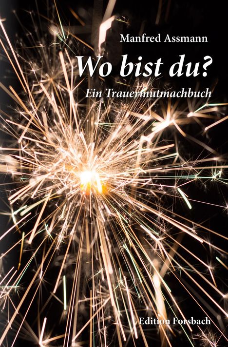 Manfred Assmann: Wo bist du?, Buch