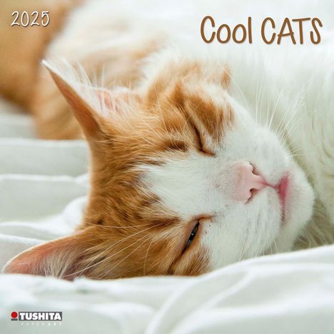 Cool Cats 2025, Kalender