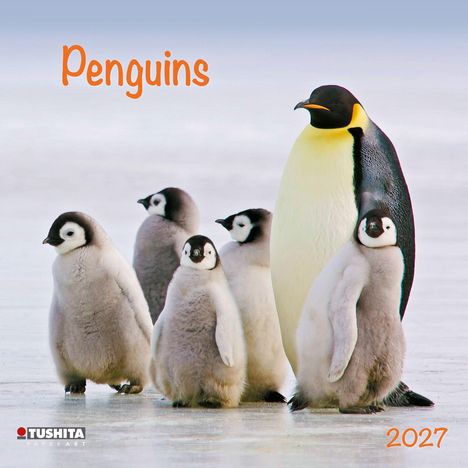 Text "Penguins" und "2027". Gruppe von Pinguinen, ein großer Pinguin und mehrere flauschige Küken auf Eis.