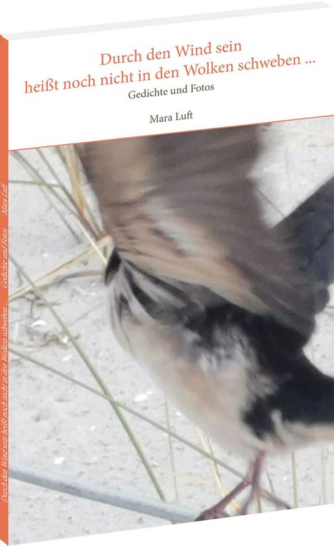 Mara Luft: Durch den Wind sein heißt noch nicht in den Wolken schweben ..., Buch
