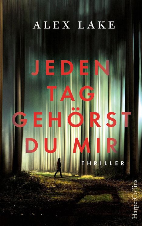 Alex Lake: Lake, A: Jeden Tag gehörst du mir, Buch