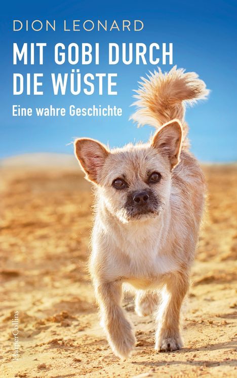 Dion Leonard: Mit Gobi durch die Wüste - eine wahre Geschichte, Buch