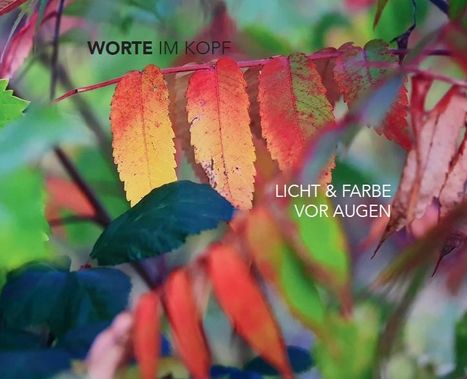 Lea Andersson: Worte im Kopf - Licht &amp; Farbe vor Augen, Buch