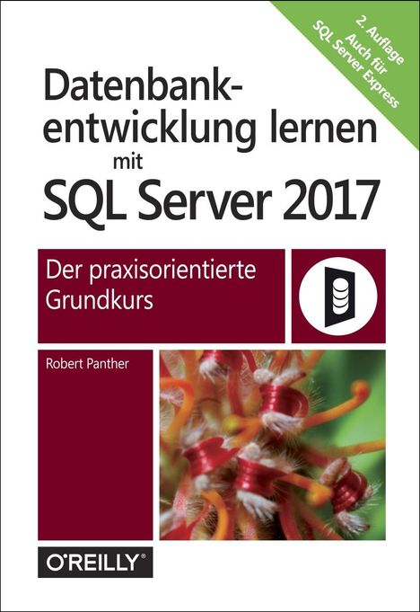 Robert Panther: Panther, R: Datenbankentwicklung lernen mit SQL Server 2017, Buch