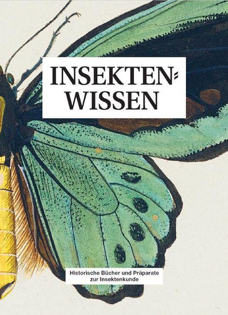 Text: "INSEKTENWISSEN" und "Historische Bücher und Präparate zur Insektenkunde". Illustration eines Schmetterlings in Grün- und Gelbtönen.