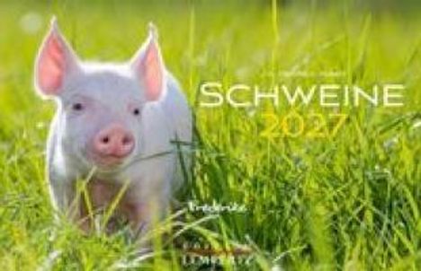SCHWEINE 2024 in großen Buchstaben. Ein Ferkel steht im hohen, grünen Gras.