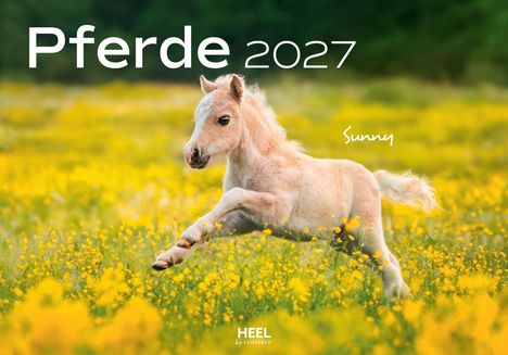 Text: "Edyta Trojańska-Koch", "Pferde 2027", "Aurora". Ein weißes Pferd läuft durch ein Feld bei Sonnenuntergang.