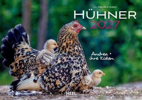 Titel: "HÜHNER 2027", "Kim & ihre Küken". Eine Henne mit zwei flauschigen Küken, umgeben von Natur.
