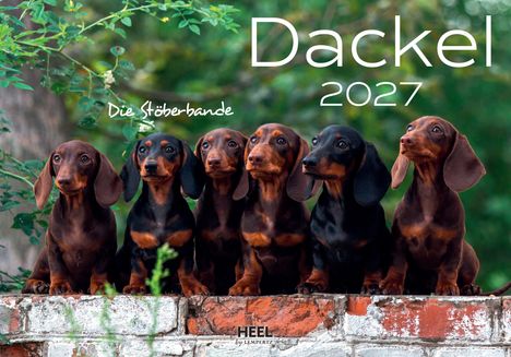 „Dackel 2027“, „Die Stöberbande“. Fünf braune und schwarze Dackel sitzen auf einer Ziegelmauer vor grünem Hintergrund.