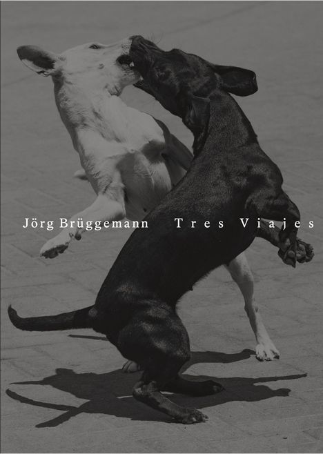 Jörg Brüggemann Tres Viajes. Zwei spielende Hunde, ein heller und ein dunkler, im dynamischen Sprung.