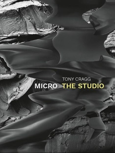 Christine Kelle: Tschentscher, F: Tony Cragg. Micro - The Studio, Buch