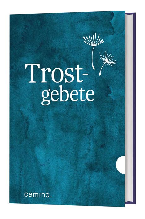 Trostgebete, Buch