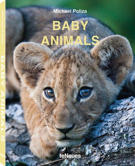 Michael Poliza: Baby Animals, Buch