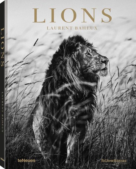 Laurent Baheux: Baheux, L: Lions, Buch