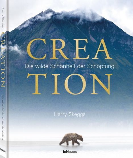 Harry Skeggs: Skeggs, H: Creation, Buch