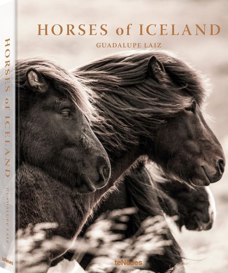 Guadalupe Laiz: Laiz, G: Horses of Iceland, Buch