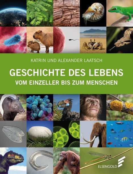 Katrin Laatsch: Geschichte des Lebens, Buch