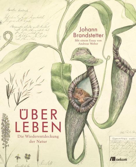 Johann Brandstetter: Über Leben, Buch