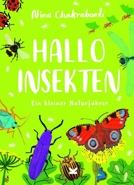 Nina Chakrabarti: Hallo Insekten, Buch