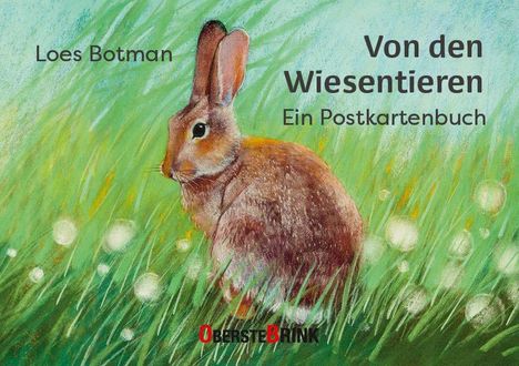 Text: Loes Botman, Von den Wiesentieren, Ein Postkartenbuch, Oberstebrink. Illustration: Hase im grasigen Umfeld.