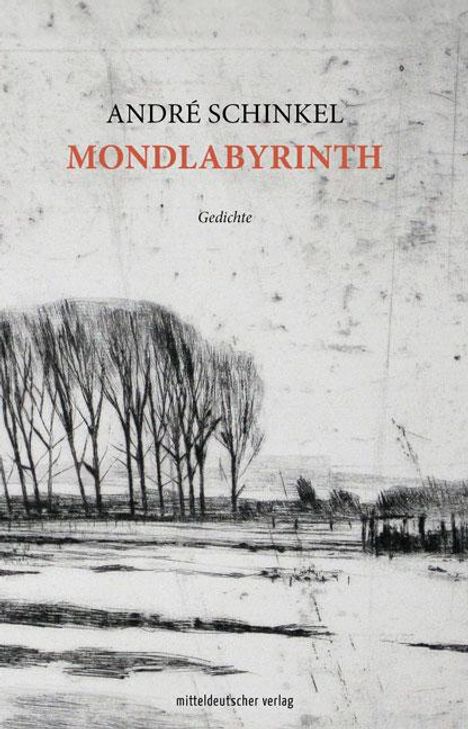 André Schinkel: Mondlabyrinth, Buch