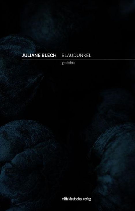 Juliane Blech: Blaudunkel, Buch