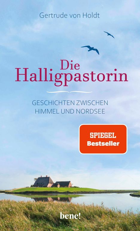 Gertrude von Holdt: Die Halligpastorin, Buch
