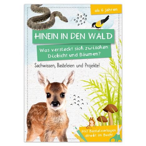 Activity Heft: Hinein in den Wald - Was versteckt sich zwischen Dickicht und Bäumen?, Buch