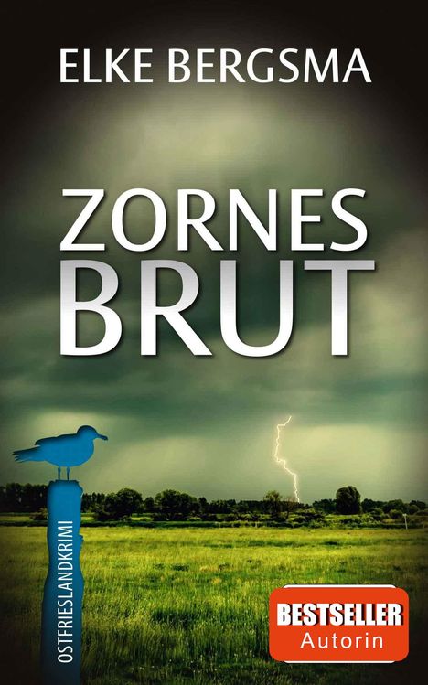 Elke Bergsma: Zornesbrut, Buch