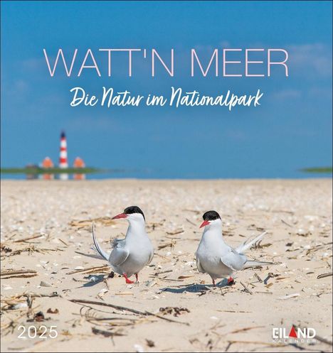 Watt'n Meer Postkartenkalender 2025 - Die Natur im Nationalpark, Kalender
