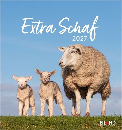 „Extra Schaf 2027“. Ein Schaf und zwei Lämmer stehen auf einer Wiese unter blauem Himmel. "EILAND Kalender".