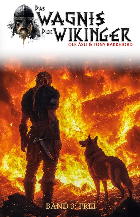Ole Åsli: Das Wagnis der Wikinger - Band 3, Buch