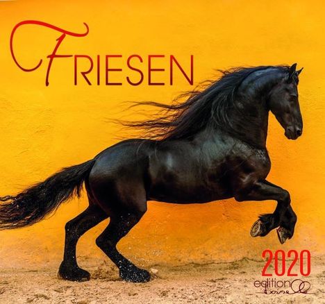 Gabriele Boiselle: Friese 2020, Diverse