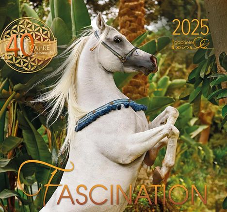 Fascination 2025, Buch