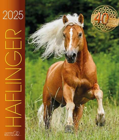 Haflinger 2025, Kalender